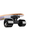 27 "Surfboard Big Fish Board Four Wheel Skateboard