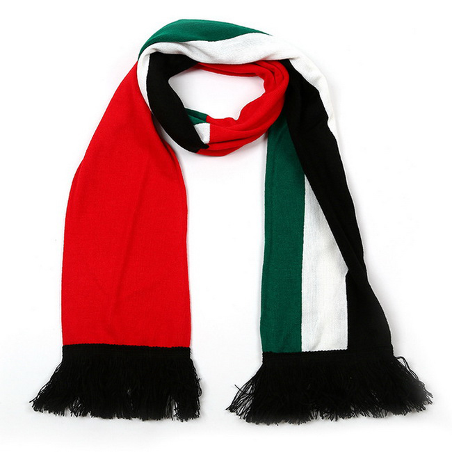 Multicolor Knit Scarf With Fringe